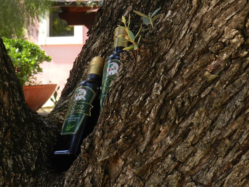 Masseria Pisciani Torchiarolo Екстер'єр фото